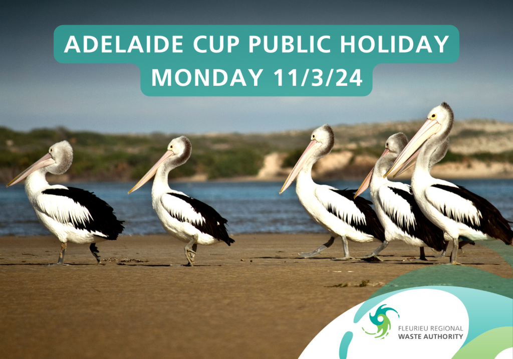 Adelaide Cup public holiday 2024 FRWA