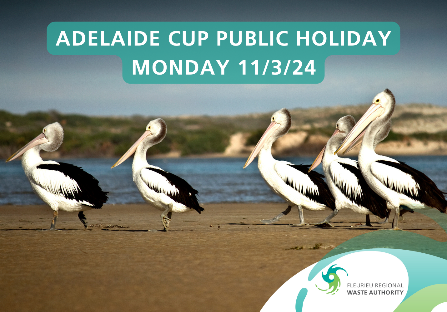 Adelaide Cup public holiday 2024