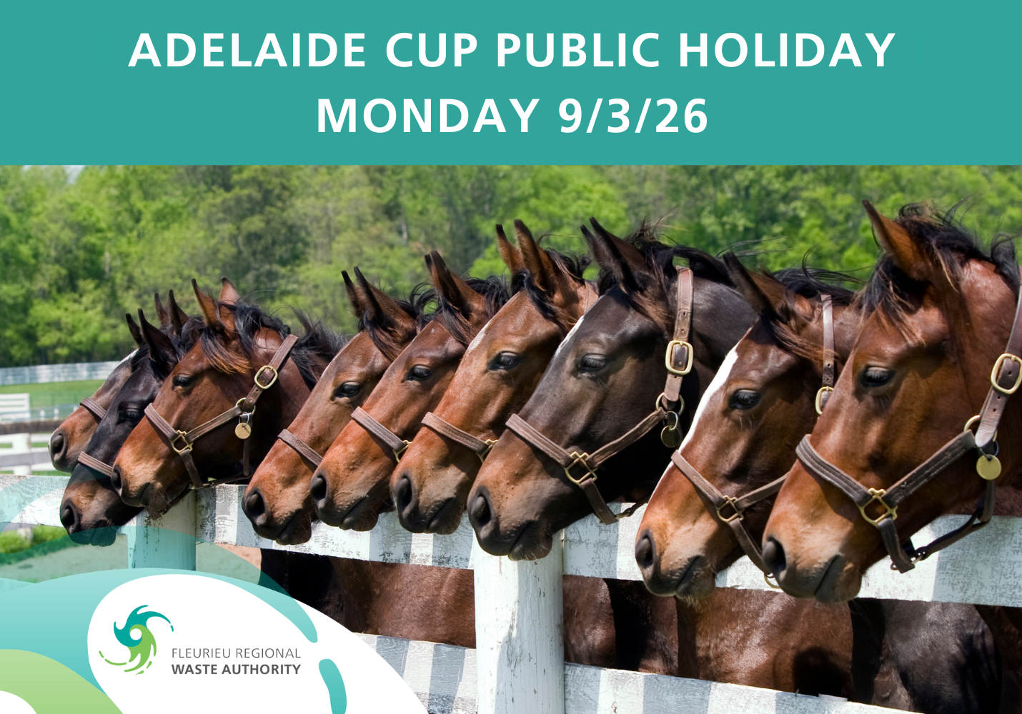 Adelaide Cup public holiday 2026